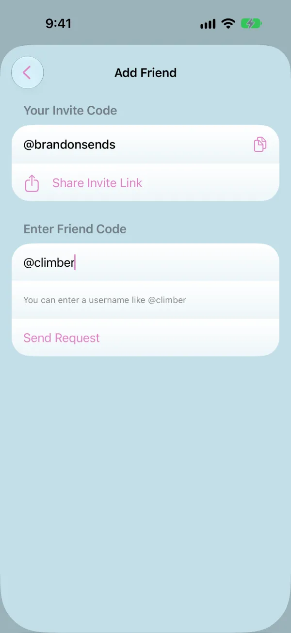 Add Friend screen with a username entered