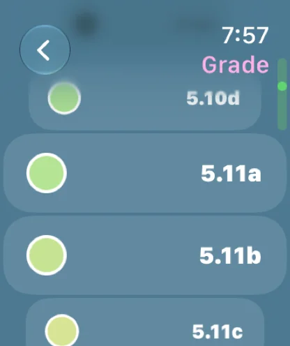 Apple Watch grade list