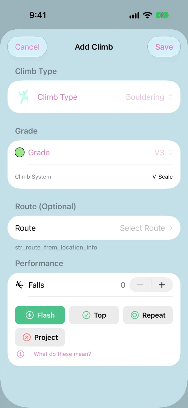 Performance section with Flash selected
